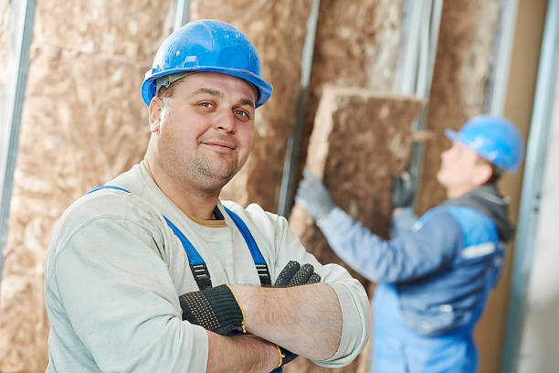 Best Professional Insulation Contractor  in Mountain Village, CO